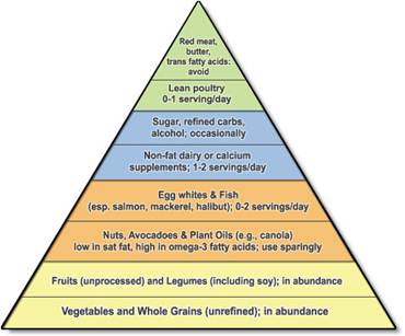 The Ornish Food Pyramid