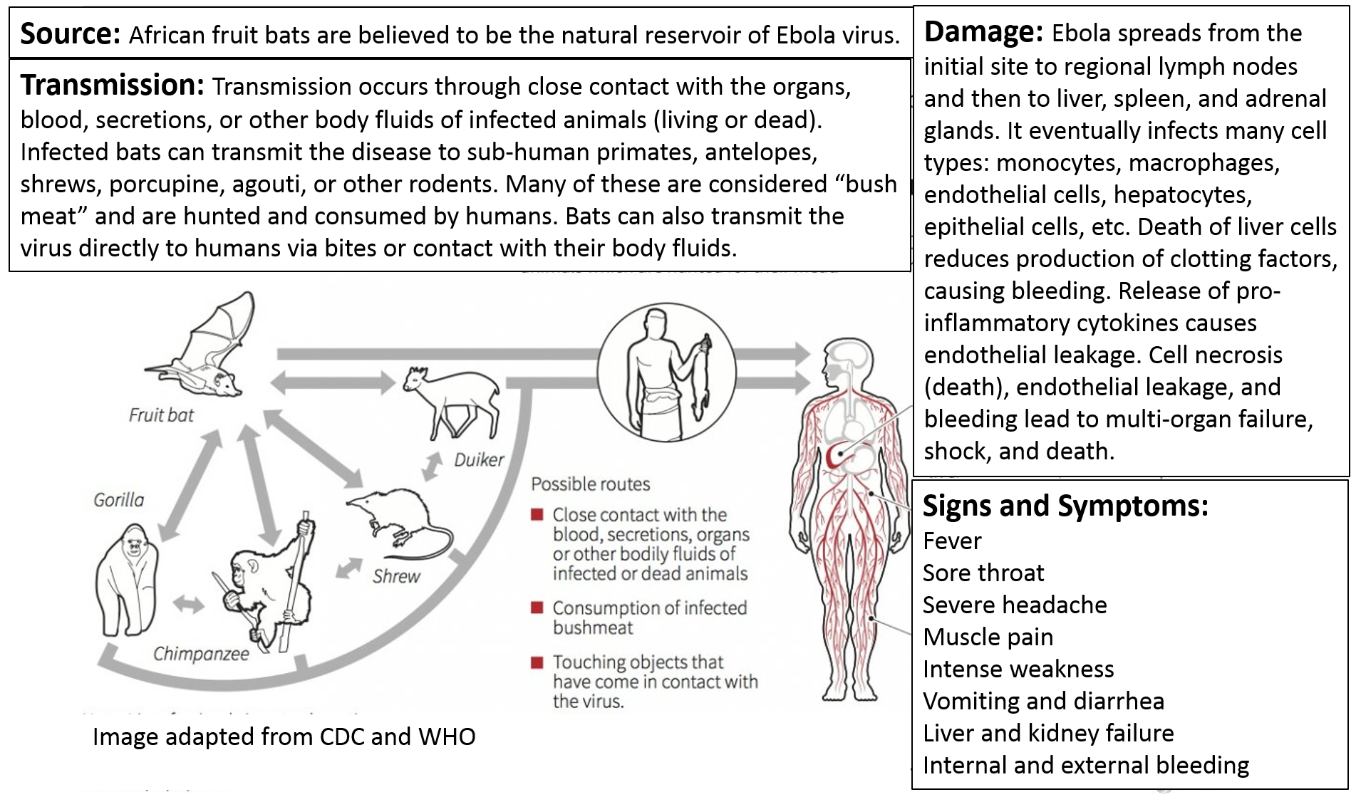 Transmission of Infectious Disease