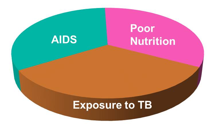 A component cause model consisting of exposure to TB, presence of AIDS, and poor nutrition,