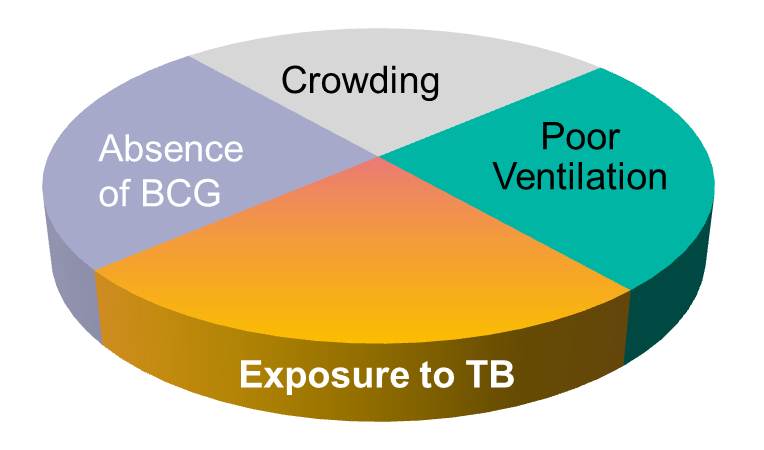 A cause of TB consisting of exposure to TB, crowding, poor ventilation, and absence of BCG vaccine.