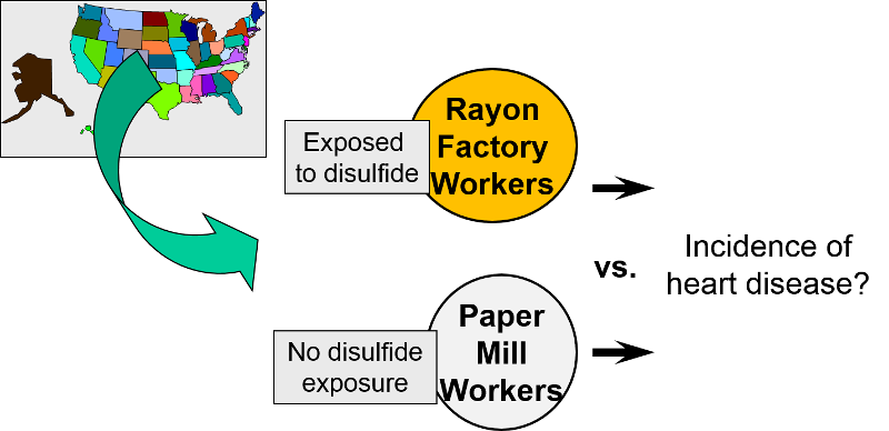 To assess the risk of rayon exposure the investigators compared outcomes in rayon factory workers and paper mill workers, who had no occupational exposure to rayon,