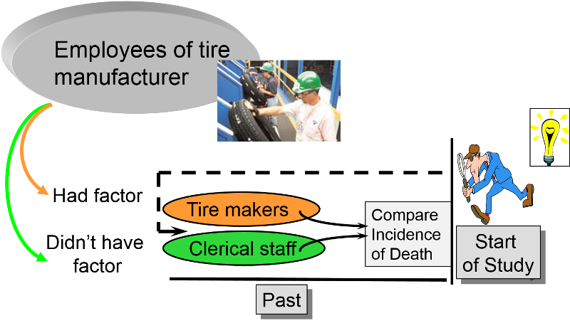 Summary of a retrospective cohort study in which the investigators go back several decades to employee records of a tire manufacturing company to identify a cohort of subjects, some of whom were exposed to solvents and others were not. They then determine whether they subsequently died.