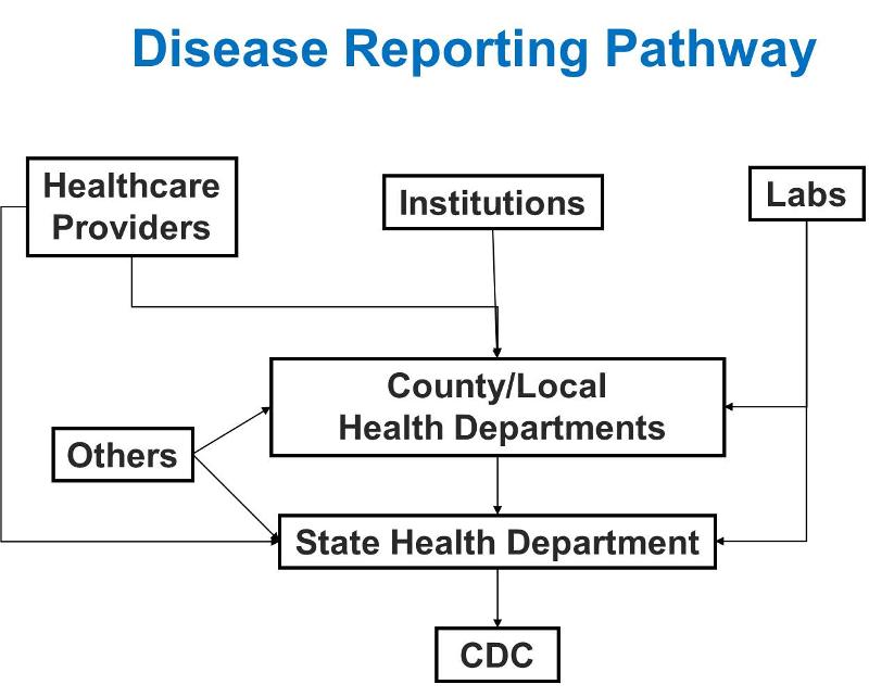 Disease reporting pathway. Health care providers, health care facilities and labs send information about individual cases of reportable disease either to a county health department or directly to the state health departments. The states then forward information to the US Centers for Disease Control (CDC)..