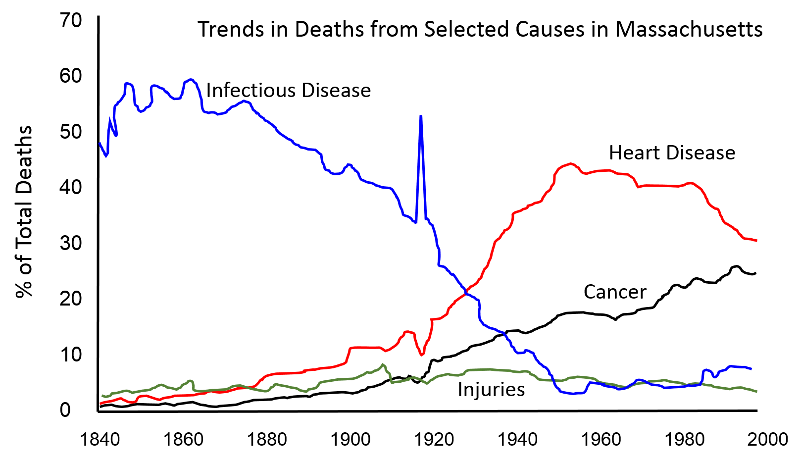 Trends in death rates from various causes from 1810 to 2000 in Massachusetts. Death rates from infectious disease have plummeted, but death rates from heart disease and cancer increased until around 195 when heart disease leveled off and then began to decline. Cancer death rates have not fallen substantially.