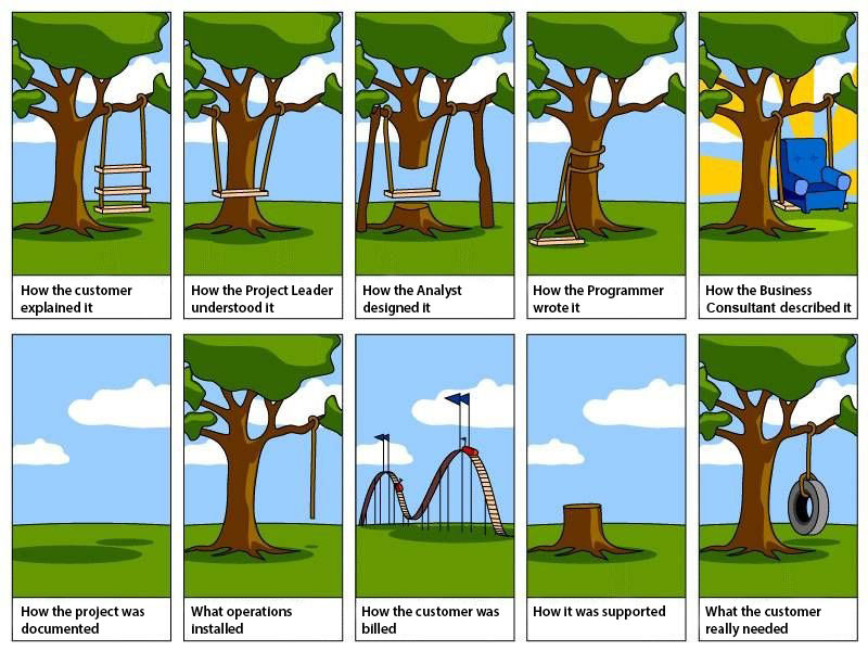 cartoon about different perspectives of project development