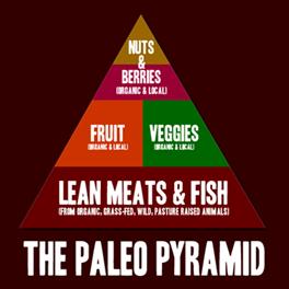 Description: http://www.stronggirlswin.com/wp-content/uploads/2012/02/paleolithic-food-pyramid1.gif