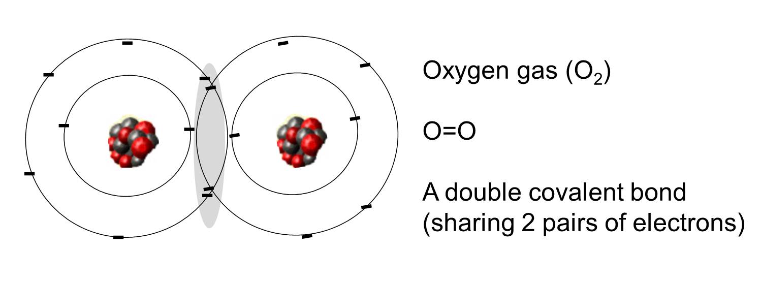Oxygen_ElectronSharing.jpg
