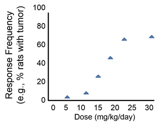 Dose-response curve showing that a small resonse is first noted at a dose of 12 mg per kilogram per day. The response increases linearly up to a dose of 20 milligrams per kilogram per day, and then it levels off.