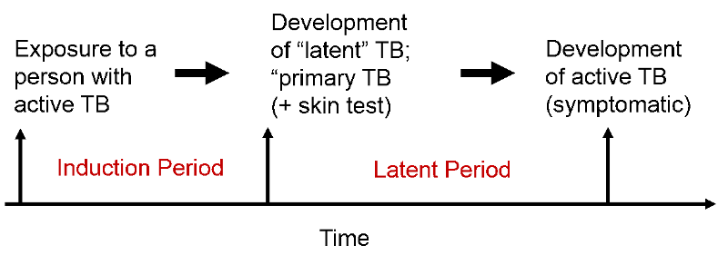 timeline showing induction periods and latent periods