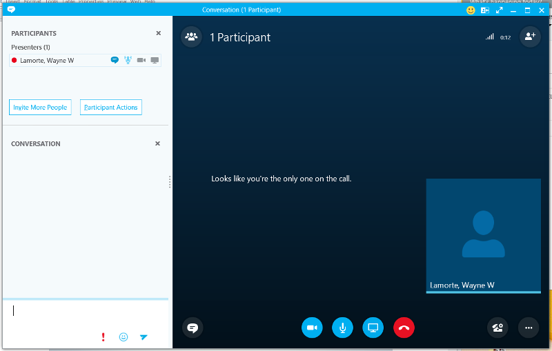 online skype meeting