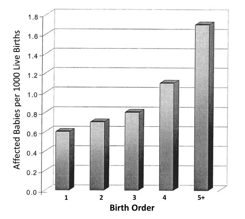 Bar graph showing that the frequency of Down syndrome increases with birth order, that is the risk is lowest in first born children and rises progressively with each successive child that a mother has.