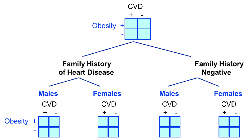 The association between obesity and CVD is first stratified by family history of CVD, and each of these two categories is stratified by gender in order to simultaneously control for confounding by these two factors.