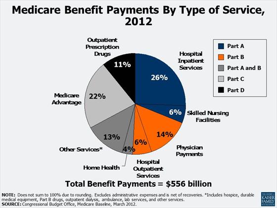 http://facts.kff.org/upload/jpg/large/Medicare_Payments_By_Type_of_Service_2012.jpg